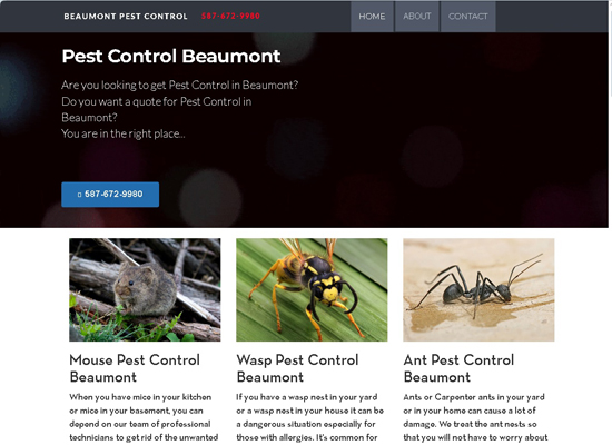 Beaumont Pest Control